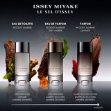 Issey Miyake Le Sel d'Issey parfem za muškarce 50 ml | shoptok.hr