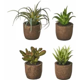 Casa Selección Umetne rastline v kompletu 4 ks Cactus – Casa Selección