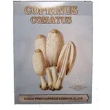 Sušeni prah Coprinus comatus gljive 50g, DH