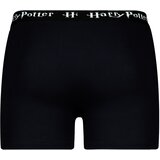 Licensed Men's boxer Harry Potter - Frogies | Eponuda.ba