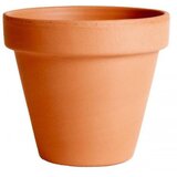 Degrea saksija 23 cm classica terracotta de 01230 Cene