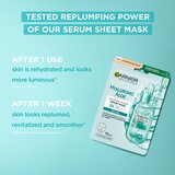 Garnier Skin Naturals maska za lice | shoptok.hr