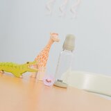 Bibs set (staklena bočica 240 ml i sisač M), Sage | shoptok.hr
