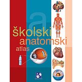 Kreativni Centar Adolfo Kasan - ŠKOLSKI ANATOMSKI ATLAS Cene