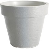  Saksija Di Martino Tago | ePonuda.com