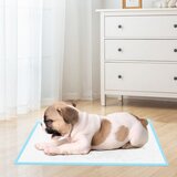  Podloge za pse, higijenske podloge za štence za jednokratnu upotrebu, 200 komada. | shoptok.hr
