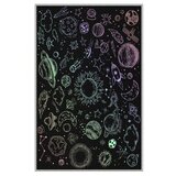 Conceptum Hypnose tepih HMNT489 (80x50 cm) | ePonuda.com