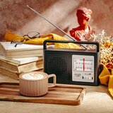 AM FM Radio Adler AD 1909 | Shoptok.si