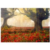  Tapeta - Morning among poppies 150x105 | shoptok.hr
