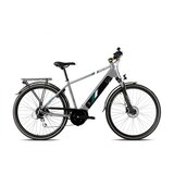 E-bike bicikl eco 700.3 man sivo-zeleno (520) Cene'.'