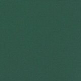 vidaXL Zložljiva stranska tenda temno zelena 100x500 cm | Shoptok.si