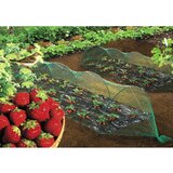 Nortene mreža za zaštitu od ptica (D x Š: 10 x 2 m) Cijene