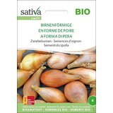 Sativa Semena čebule "v obliki hruške" Cene
