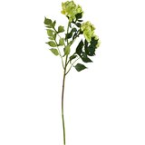 Mondex Umetna veja plastika Viridis Chryzantema 70cm zelena 3kos, (5000329541) | Shoptok.si