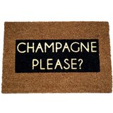Artsy Doormats Rogoznica iz naravnega kokosovega vlakna Champagne Glitter, 40 x 60 cm | Shoptok.si