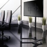 EDBAK TV stojalo TR5 - | Shoptok.si