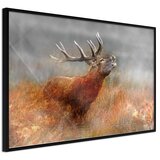  Poster - Rut 45x30 Cijene