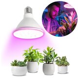  LED sijalica za rast biljaka VITABLOOM E27/9W/230V 1200K bela - Brilagi Cene