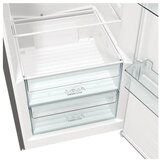 Gorenje samostojni hladilnik R619FES5 | Shoptok.si