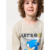 Sinsay Pamučne majice s printom 3 pack Sonic the Hedgehog | shoptok.hr