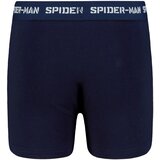 Licensed Bokserice za dječake | Eponuda.ba