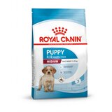 Royal Canin Medium Puppy 12 kg | Shoptok.si