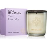 Max Benjamin True Lavender dišeča sveča 210 g Cene