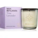 Max Benjamin True Lavender dišeča sveča 210 g