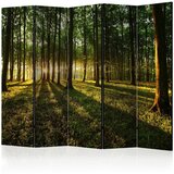 Artgeist Paravan Morning In The Forest I, 5-Delni, Dvostranski | Shoptok.si