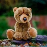 Animigos Svet narave: plišasti medved - 28 cm | Shoptok.si