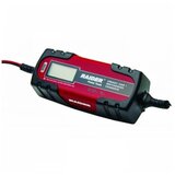 Euromaster Co.ltd Punjac invertorski RD-BC13 6/12V 120Ah 032202