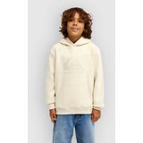 Quiksilver Comp Logo Kids Pulover s kapuco bone Cene