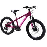 Capriolo MTB LC 200 20'' 6AL ljubičasta 925518-11 | Eponuda.com