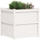 vidaXL Vrtna sadilica bijela 70 x 70 x 70 cm od masivne borovine | shoptok.hr