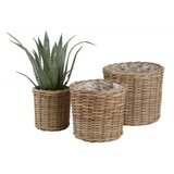  Saksija Sansei Ø25/33/40 3kom | ePonuda.com