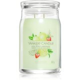 Yankee Candle Iced Berry Lemonade dišeča sveča Signature 567 g Cene