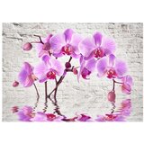  Tapeta - Purple Delight 350x245 | shoptok.hr