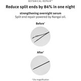 Aveda Botanical Repair™ Strengthening Overnight Serum nočni obnovitveni serum za lase 30 ml | Shoptok.si