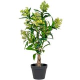 House Nordic Umetna rastlina Skimmia – Cene