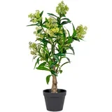 Umjetna biljka Skimmia -