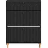  Ormar za cipele ALKMAAR 78 x 24 x 103 cm Konstruirano drvo Crna - Crna | shoptok.hr