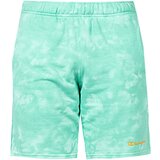 Champion Kratke hlače & Bermuda - Zelena | Shoptok.si