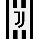 Drugo Juventus odeja 150x200 Cene