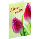  SB Čest Classic Tulipani Cijene