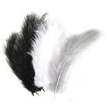 RAYHER Perje puhasto mešano, sivo/črno/belo, 10-15cm, 15 kom, (20633811) | Shoptok.si