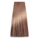 Prosalon Farba za kosu COLORART - Bež plava 7/03 100g Cijene