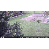 OXE Lovska kamera Gepard II in lovski detektor + 32GB kartica SD in 6 baterij BREZPLAČNO! | Shoptok.si
