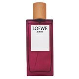 Parfem za muškarce Loewe EDP 100 ml | shoptok.hr