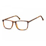 Berkeley Naočare CP132B | ePonuda.com