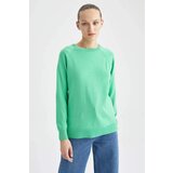 Defacto Relax Fit Crew Neck Pullover | ePonuda.com